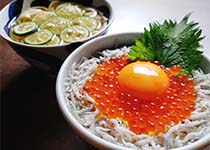 いくらしらす丼とすだちうどん