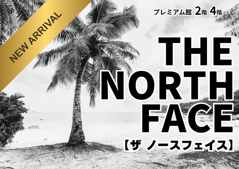 THE NORTH FACE入荷