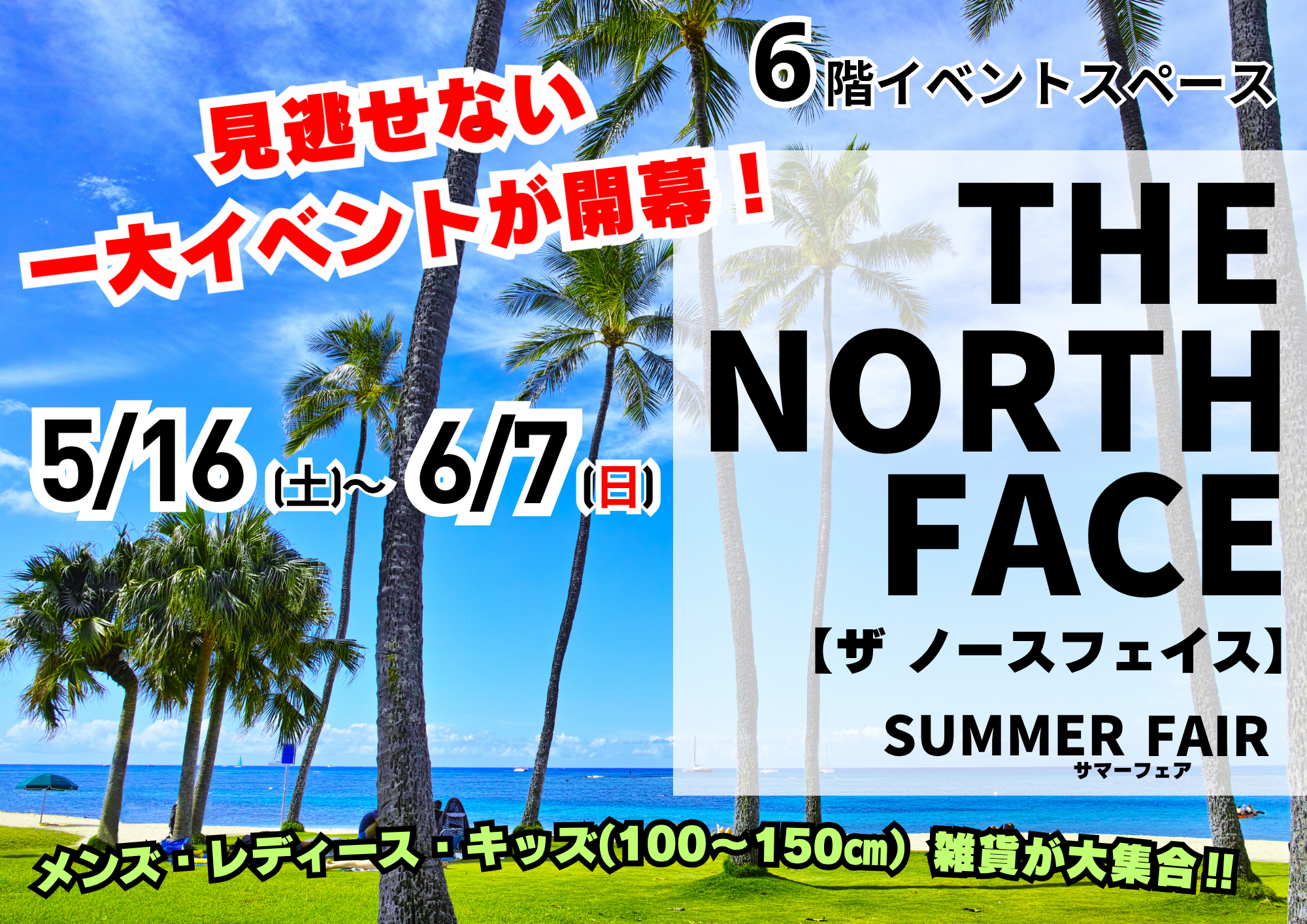 THE NORTH FACE
